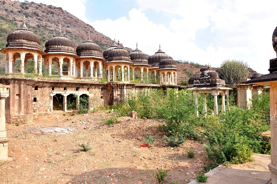 SHEKHAWATI TOUR 